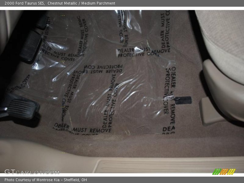 Chestnut Metallic / Medium Parchment 2000 Ford Taurus SES