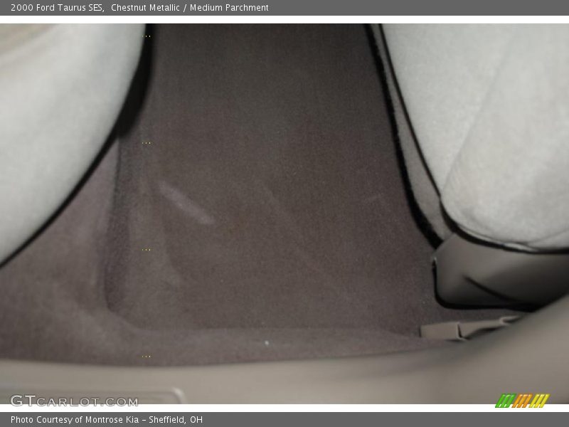 Chestnut Metallic / Medium Parchment 2000 Ford Taurus SES