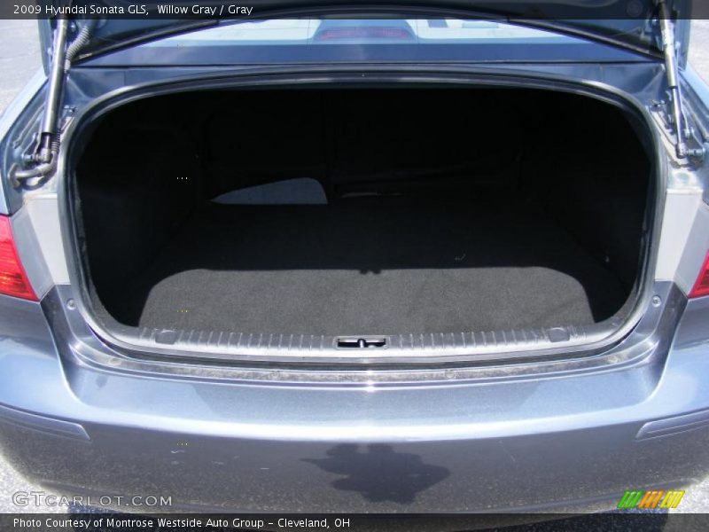 Willow Gray / Gray 2009 Hyundai Sonata GLS