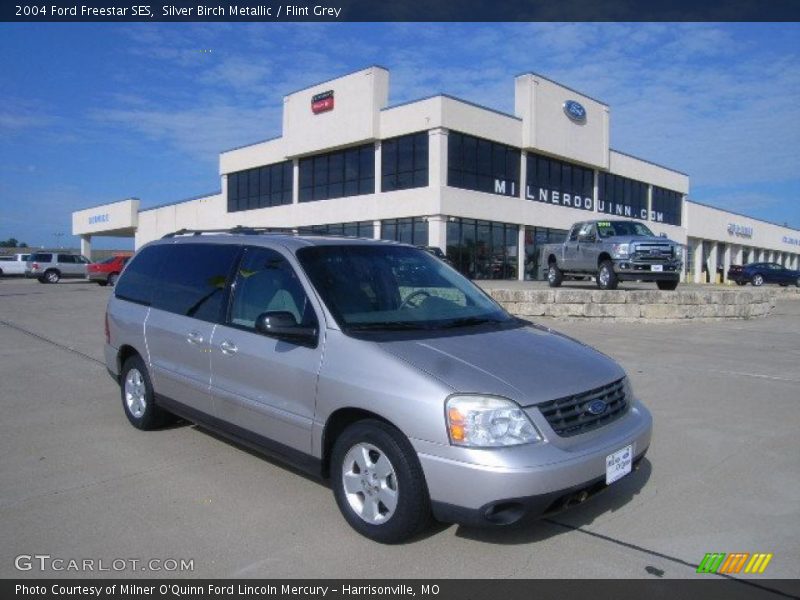 Silver Birch Metallic / Flint Grey 2004 Ford Freestar SES