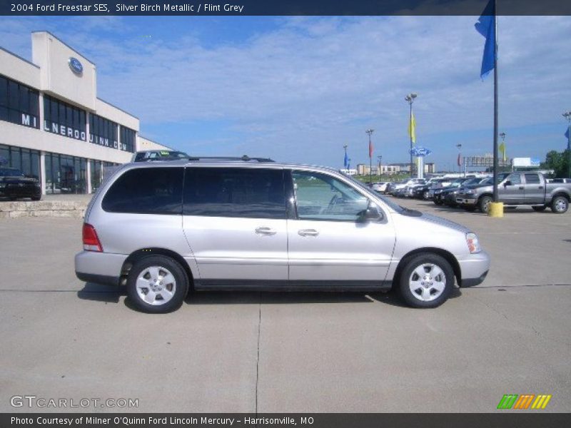 Silver Birch Metallic / Flint Grey 2004 Ford Freestar SES