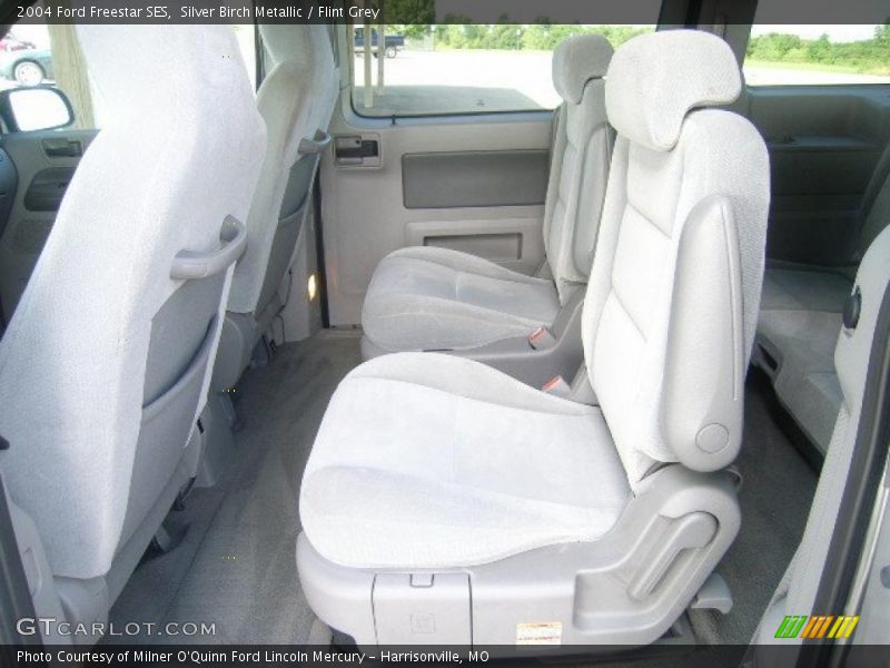 Silver Birch Metallic / Flint Grey 2004 Ford Freestar SES