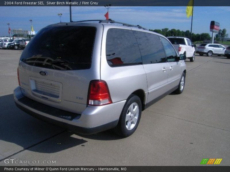 Silver Birch Metallic / Flint Grey 2004 Ford Freestar SES