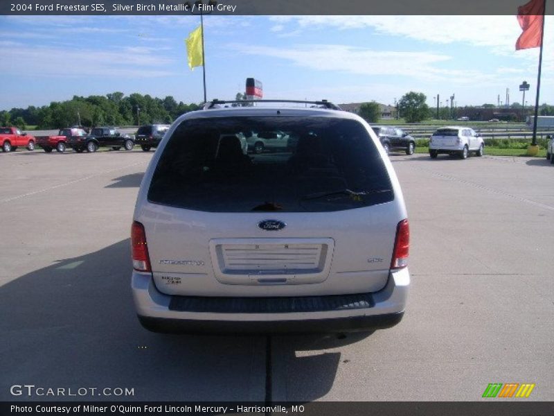 Silver Birch Metallic / Flint Grey 2004 Ford Freestar SES
