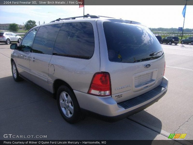 Silver Birch Metallic / Flint Grey 2004 Ford Freestar SES