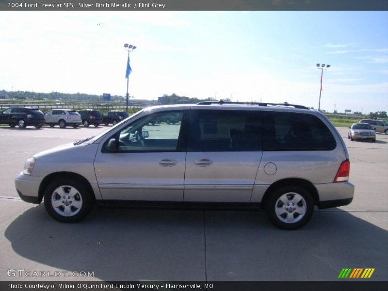 Silver Birch Metallic / Flint Grey 2004 Ford Freestar SES