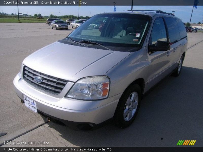 Silver Birch Metallic / Flint Grey 2004 Ford Freestar SES