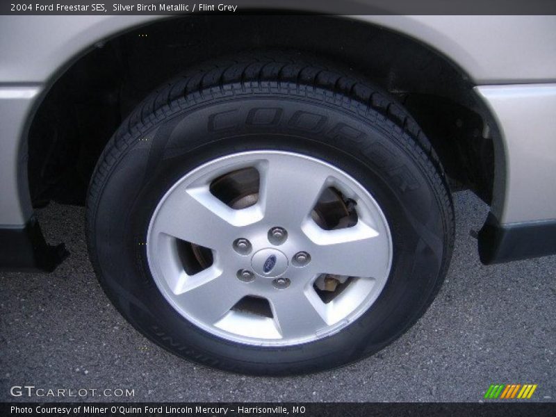 Silver Birch Metallic / Flint Grey 2004 Ford Freestar SES