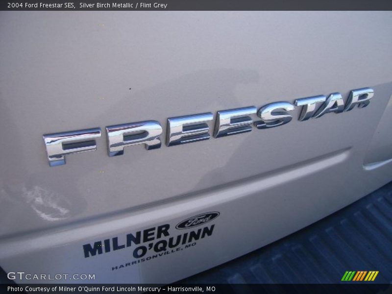 Silver Birch Metallic / Flint Grey 2004 Ford Freestar SES