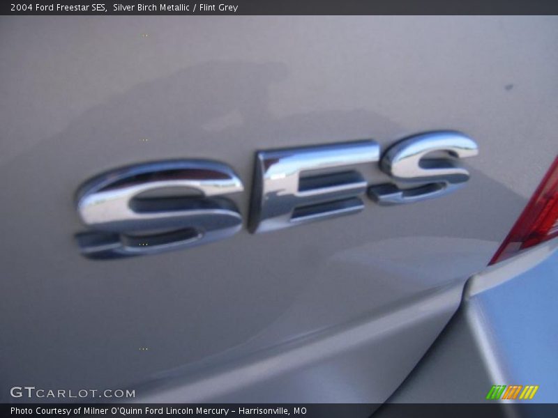 Silver Birch Metallic / Flint Grey 2004 Ford Freestar SES