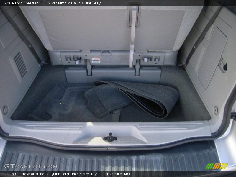 Silver Birch Metallic / Flint Grey 2004 Ford Freestar SES