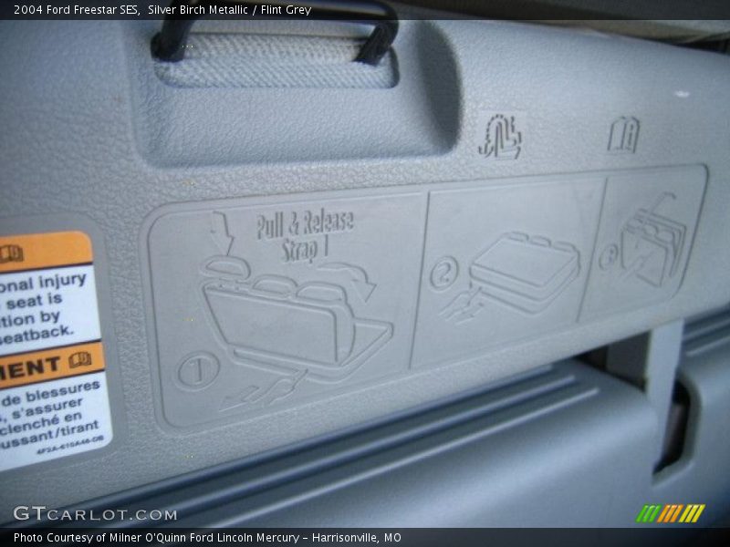 Silver Birch Metallic / Flint Grey 2004 Ford Freestar SES