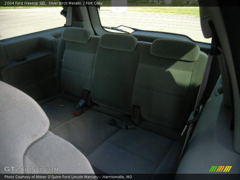 Silver Birch Metallic / Flint Grey 2004 Ford Freestar SES