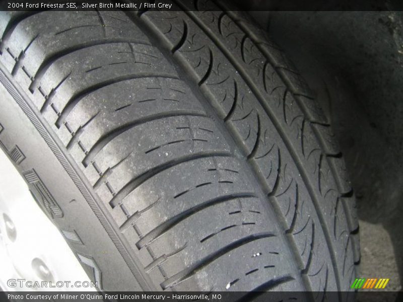 Silver Birch Metallic / Flint Grey 2004 Ford Freestar SES