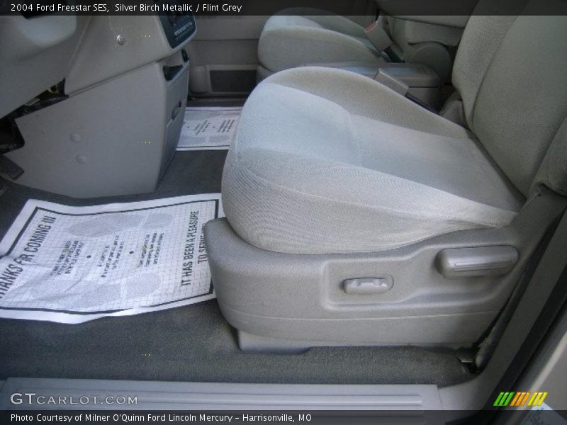 Silver Birch Metallic / Flint Grey 2004 Ford Freestar SES