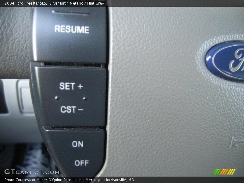 Silver Birch Metallic / Flint Grey 2004 Ford Freestar SES