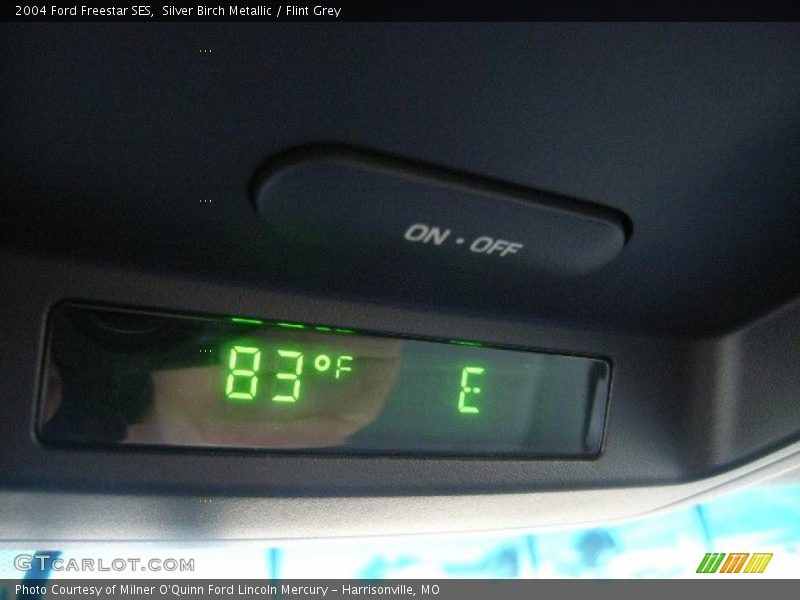 Silver Birch Metallic / Flint Grey 2004 Ford Freestar SES