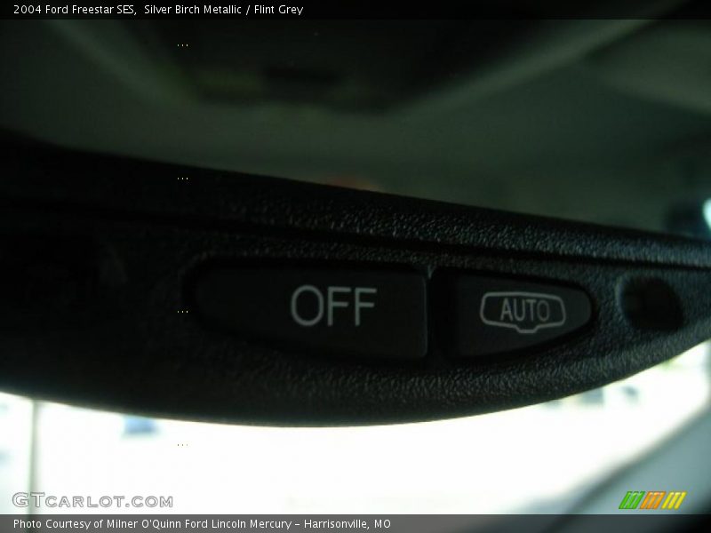 Silver Birch Metallic / Flint Grey 2004 Ford Freestar SES