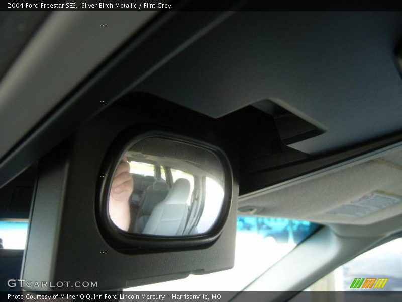 Silver Birch Metallic / Flint Grey 2004 Ford Freestar SES