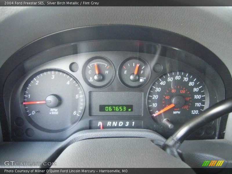 Silver Birch Metallic / Flint Grey 2004 Ford Freestar SES