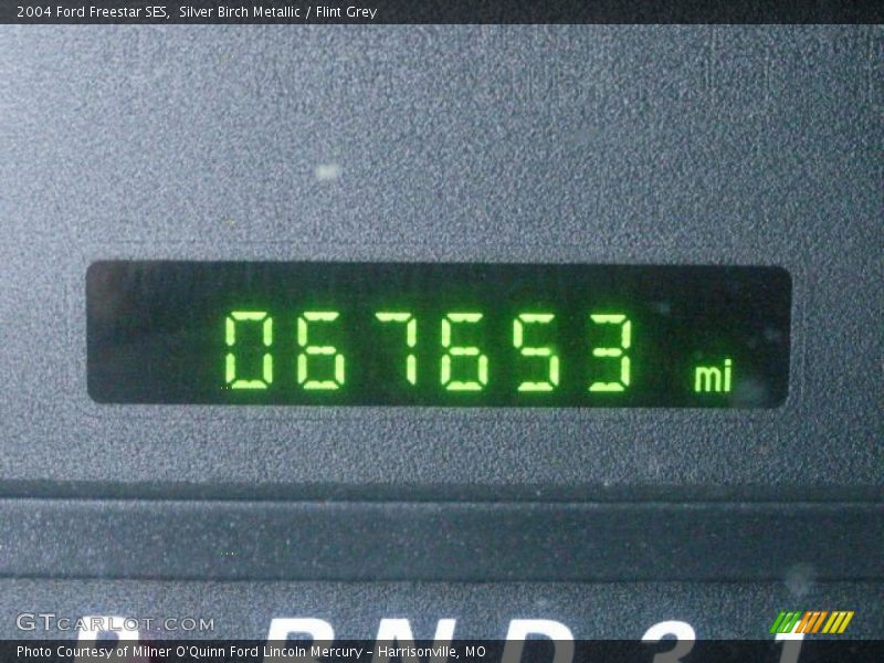 Silver Birch Metallic / Flint Grey 2004 Ford Freestar SES