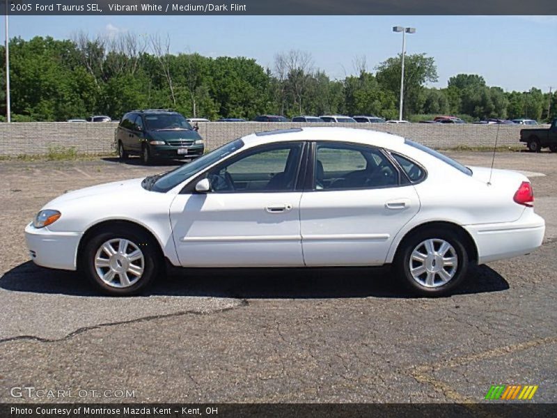 Vibrant White / Medium/Dark Flint 2005 Ford Taurus SEL