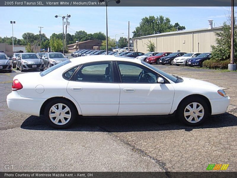 Vibrant White / Medium/Dark Flint 2005 Ford Taurus SEL