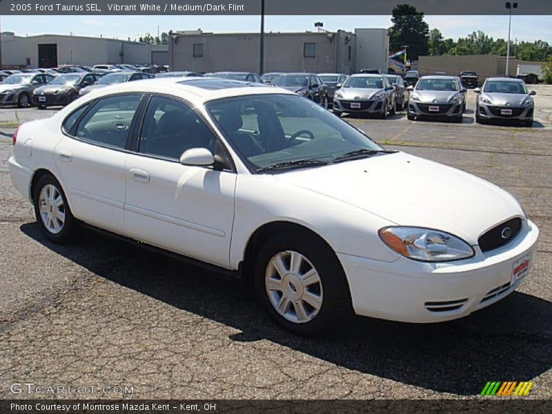 Vibrant White / Medium/Dark Flint 2005 Ford Taurus SEL