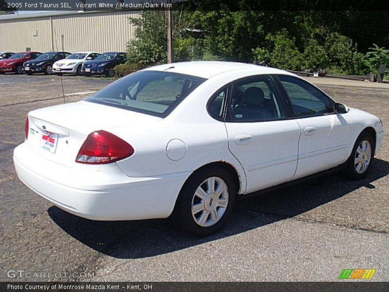 Vibrant White / Medium/Dark Flint 2005 Ford Taurus SEL