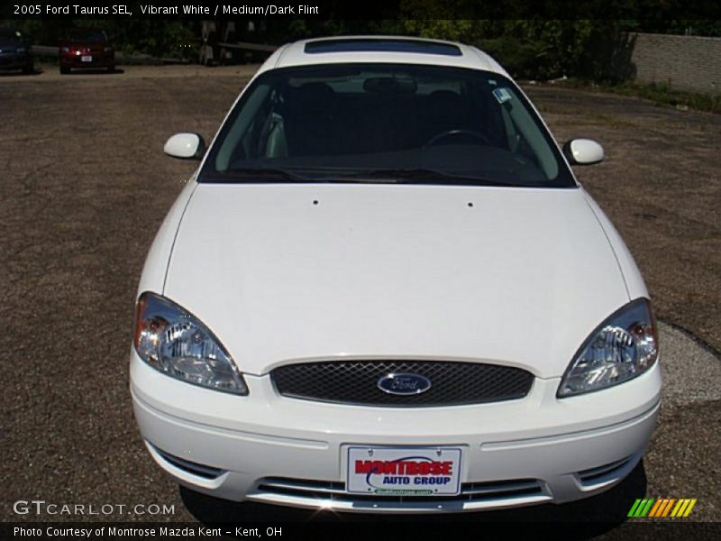 Vibrant White / Medium/Dark Flint 2005 Ford Taurus SEL