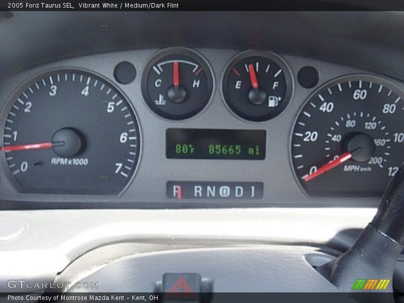 Vibrant White / Medium/Dark Flint 2005 Ford Taurus SEL