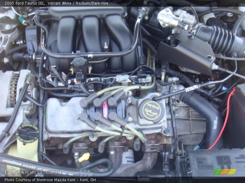 Vibrant White / Medium/Dark Flint 2005 Ford Taurus SEL