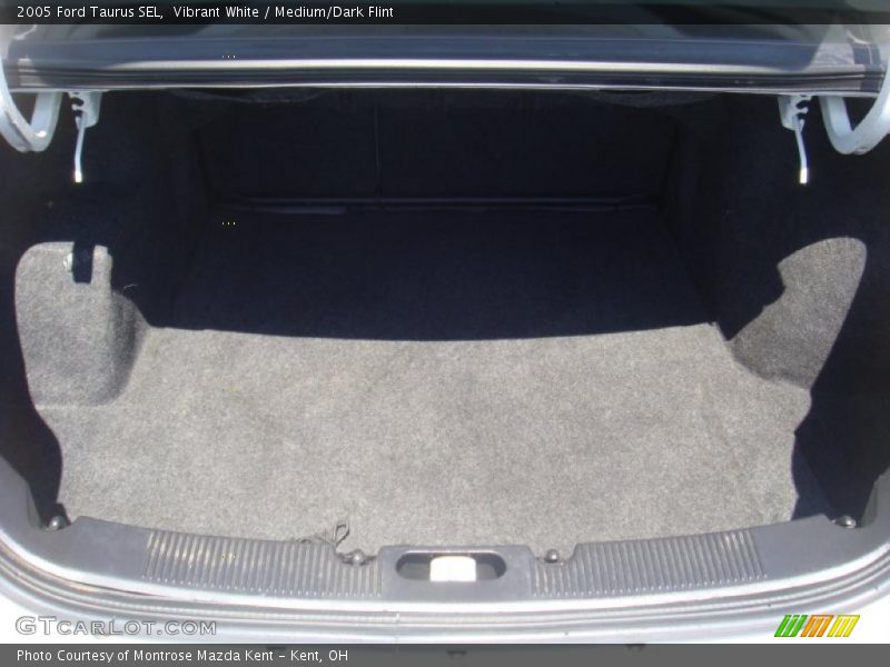 Vibrant White / Medium/Dark Flint 2005 Ford Taurus SEL