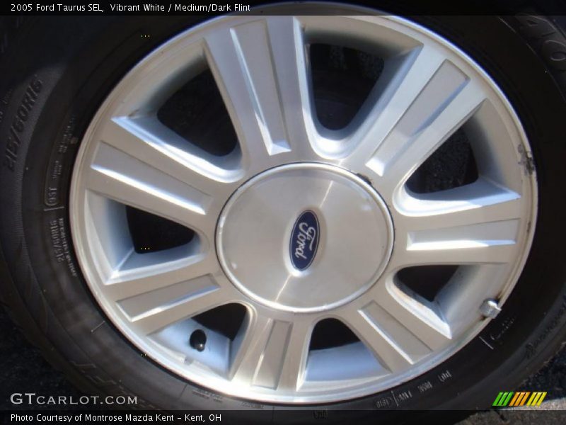 Vibrant White / Medium/Dark Flint 2005 Ford Taurus SEL