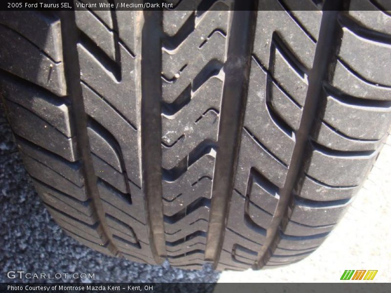 Vibrant White / Medium/Dark Flint 2005 Ford Taurus SEL