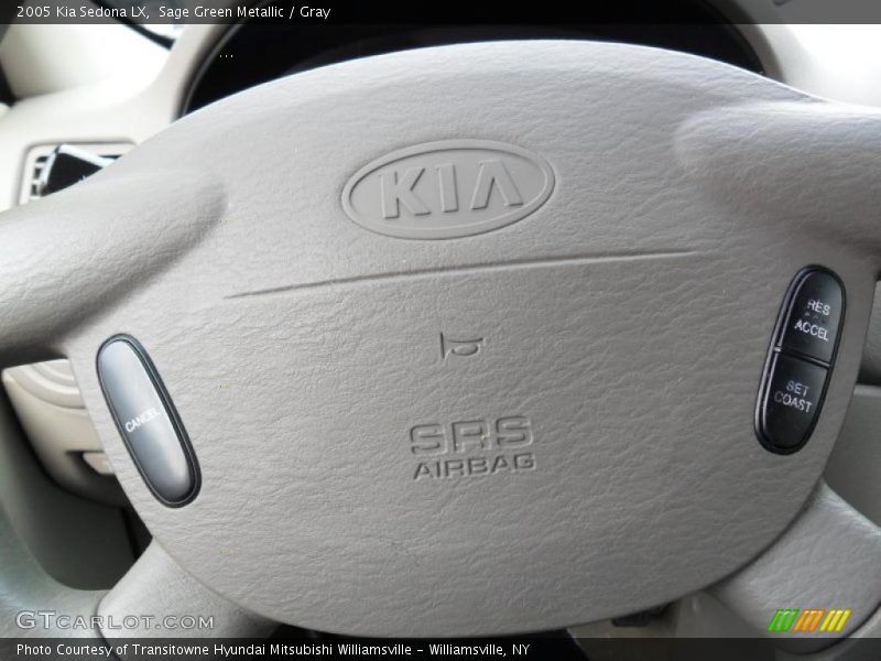Sage Green Metallic / Gray 2005 Kia Sedona LX