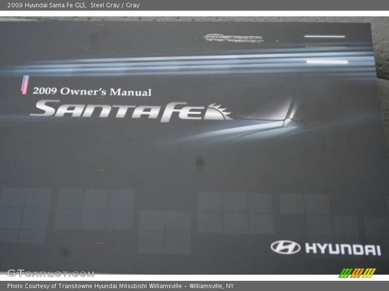Steel Gray / Gray 2009 Hyundai Santa Fe GLS