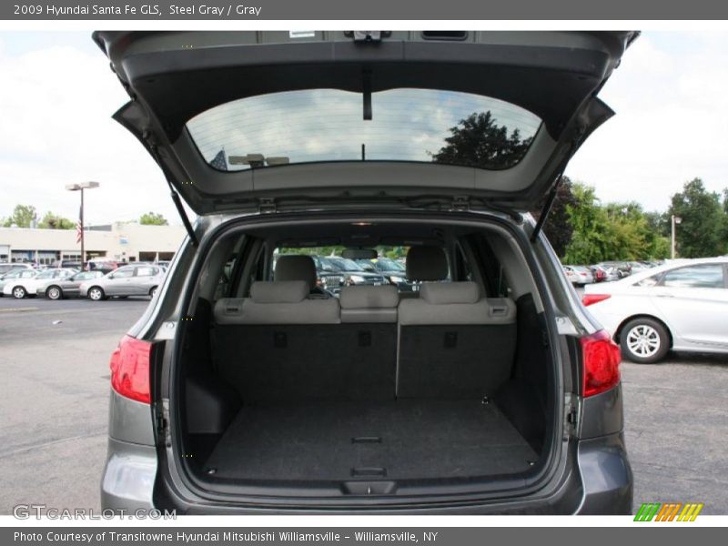 Steel Gray / Gray 2009 Hyundai Santa Fe GLS