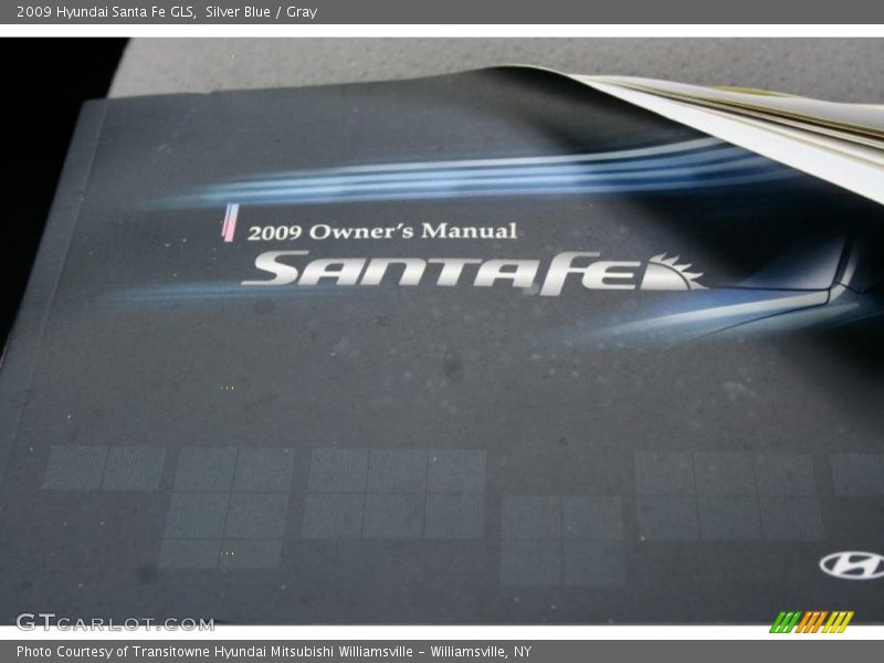 Silver Blue / Gray 2009 Hyundai Santa Fe GLS