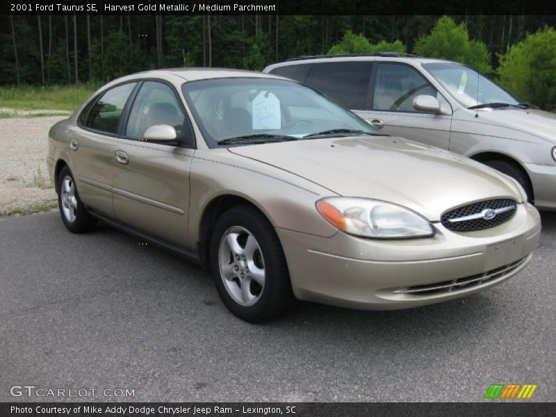 Harvest Gold Metallic / Medium Parchment 2001 Ford Taurus SE
