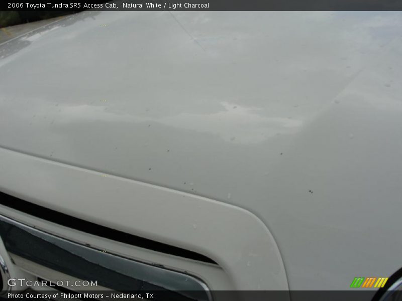 Natural White / Light Charcoal 2006 Toyota Tundra SR5 Access Cab