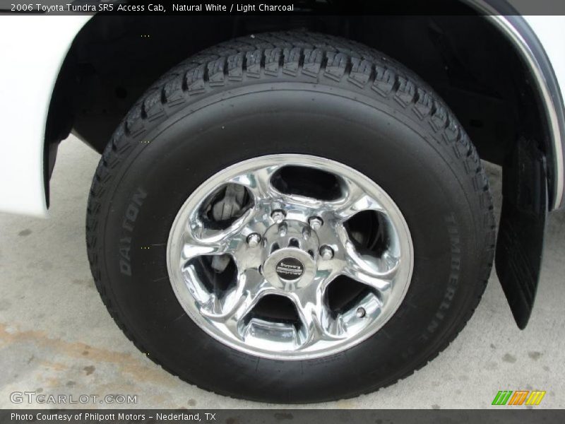 Natural White / Light Charcoal 2006 Toyota Tundra SR5 Access Cab
