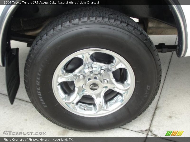 Natural White / Light Charcoal 2006 Toyota Tundra SR5 Access Cab
