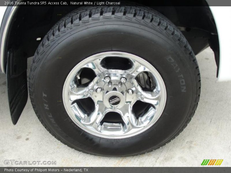 Natural White / Light Charcoal 2006 Toyota Tundra SR5 Access Cab