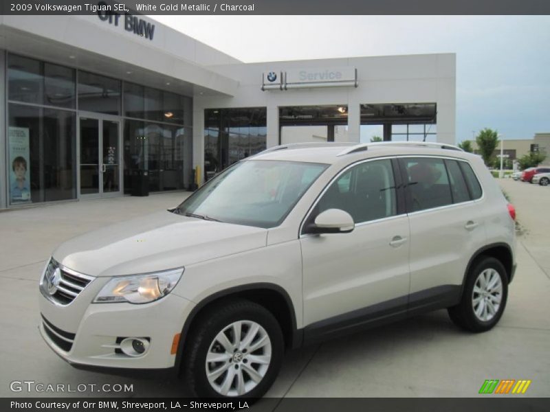 White Gold Metallic / Charcoal 2009 Volkswagen Tiguan SEL