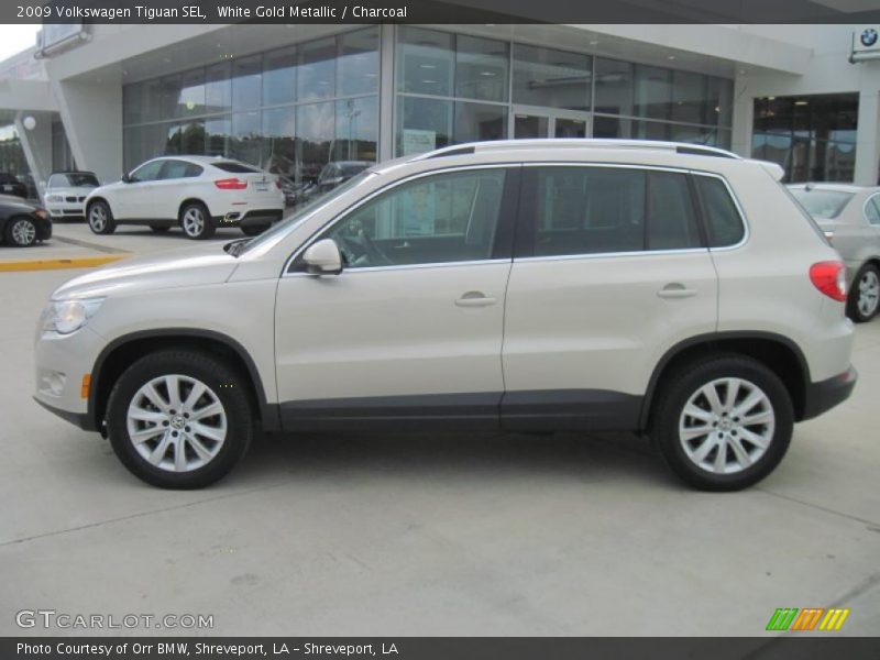 White Gold Metallic / Charcoal 2009 Volkswagen Tiguan SEL