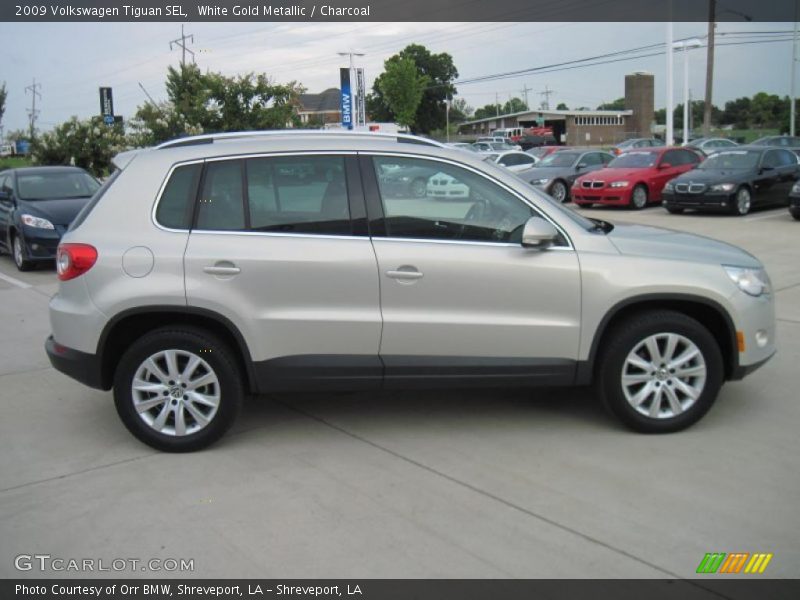 White Gold Metallic / Charcoal 2009 Volkswagen Tiguan SEL