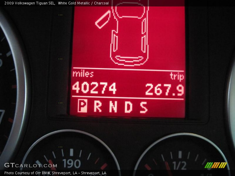 White Gold Metallic / Charcoal 2009 Volkswagen Tiguan SEL