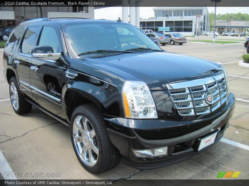 Black Raven / Ebony 2010 Cadillac Escalade Premium