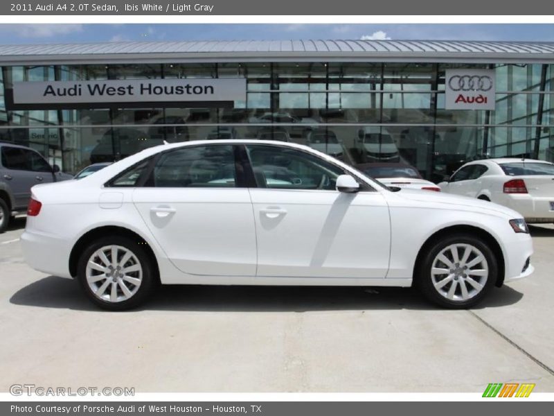 Ibis White / Light Gray 2011 Audi A4 2.0T Sedan